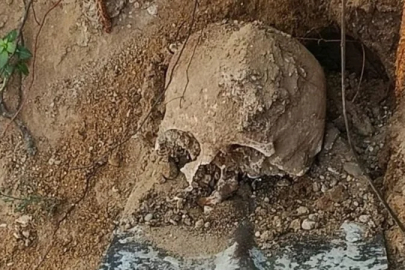 Kocaeli’de bahçede kazı yaparken insan kafatası bulundu