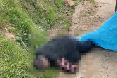 Bursa'da iftar vakti korkunç cinayet! Keserle öldürdü