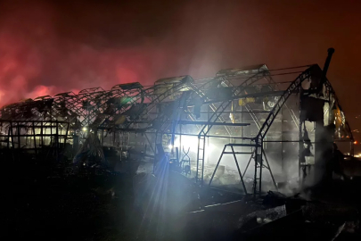 Bursa'da yüzlerce hayvan telef oldu!