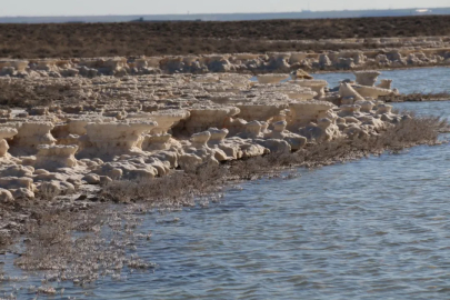 90 yılda yüzde 85 küçülen Tuz Gölü'nde umutlar yeniden yeşerdi!