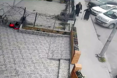 Avcılar'da bastonla geldi; iş yeri önündeki çiçekleri kökünden söküp çaldı