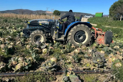 Bursa'da üreticiye can suyu! 10 bin kişiye ödeme yapılacak...