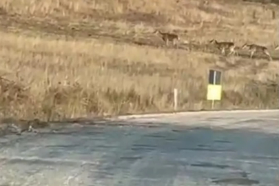 Bursa'da yola indiler! Sürücüler şaşkınlığını gizleyemedi