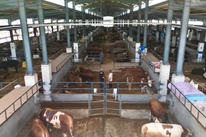 İnegöl Belediyesi Hayvan Pazarının Kotra İhale Tarihi Belli Oldu