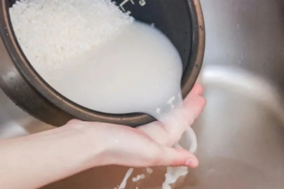 Saksılara 'pirinç suyu' döken kurtarıyor; İşte faydası...