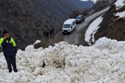 Van'da çığ düştü: 1 mahalle ve 8 mezraya ulaşımı sağlanamıyor
