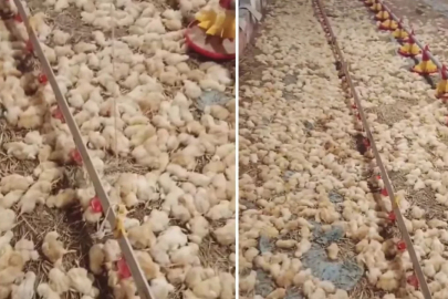 Yeni işe girişti, sabah uyanınca hayatının şokunu yaşadı