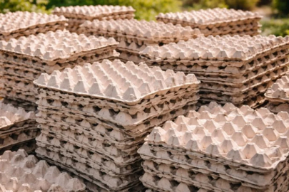 Yumurta kartonları kıymetlendi: İşte nedeni