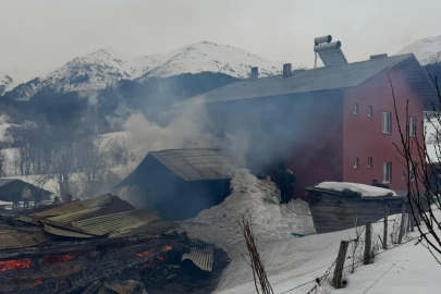 Artvin'de yangın: 1 ev, 2 ahır ve 1 ambar küle döndü