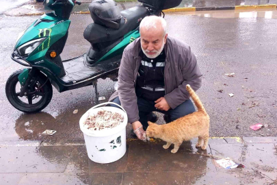 Bayramda sokak hayvanlarını unutmadı