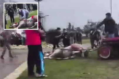 Sahibinin, koşmadığı için dövdüğü at bayıldı