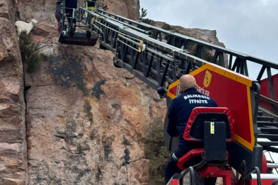 Balıkesir'de kayalıklarda mahsur kalan keçiyi itfaiye kurtardı