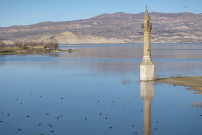 Geçen yıl hayvanlar yürüyordu: Şimdi balıklar yüzüyor