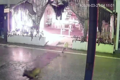 Kocaeli'de kafeyi kundaklayan şahıs güvenlik kamerasına yakalandı