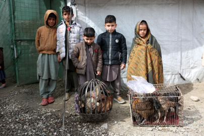 Afganistan: Son Bir Yılda 3 Milyondan Fazla Mülteci Geri Döndü