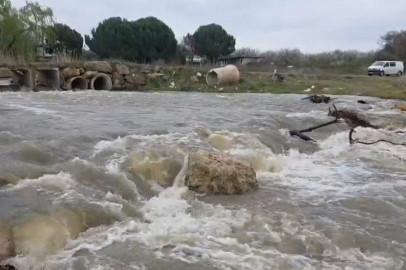 Bu görüntü İznik Gölü için önemli! Yeniden hayat buldu...