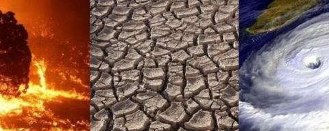 Dünya alarm veriyor