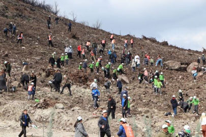 Manisa'da 30 bin fidan toprakla buluşturulacak