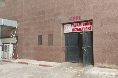 Mardin'de bir kişi tartıştığı kardeşini silahla öldürdü