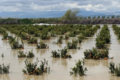 Mersin'de beşinci sel felaketi! 8 bin dönüm tarım arazisi suya gömüldü