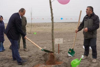 Bursa İznik'te fidanlar toprakla buluştu