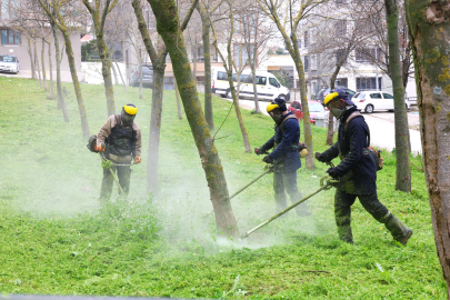 Osmangazi Yabani Otlardan Temizleniyor