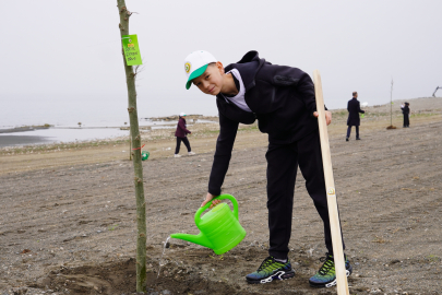 Yeni Yaşam Alanında Çınar Ağaçları Yükselecek