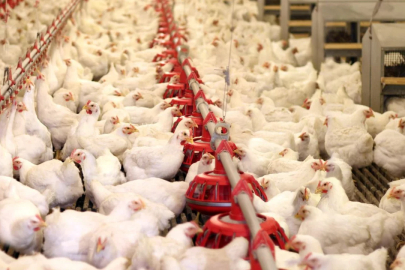 40 yıllık marka icradan satışa çıkarıldı