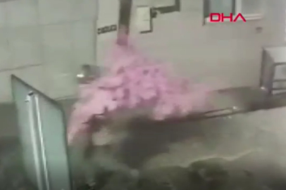 Bursa'da camı açamayan hırsız, kapıdaki değerli süs ağacını söktü; o anlar kamerada