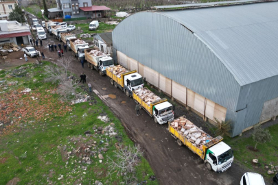 Şanlıurfa'da 50 ton bozuk tavuk eti ele geçirildi