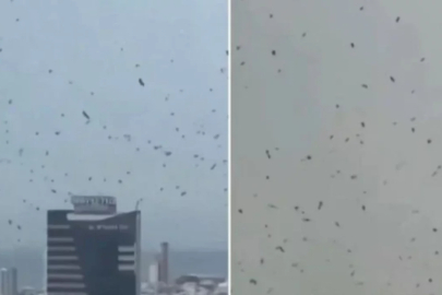 Tel Aviv'de karga istilası!