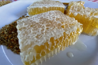 AB'den coğrafi tescil alan Yenice ıhlamur balı markalaşma yolunda ilerleyecek