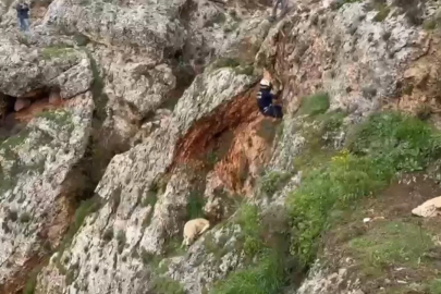 Uçurumdan düşen köpek 4 saatlik çalışmayla kurtarıldı