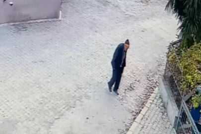 Bursa'da ot toplamaya gitti, aylardır haber yok!