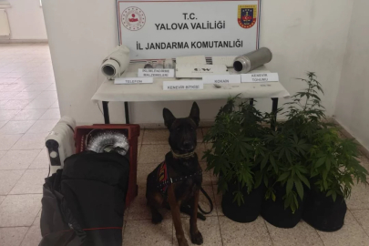 Jandarmadan uyuşturucu tacirlerine bir darbe daha!