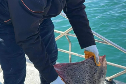 Marmara Denizi'nde kaçak av aracına el konuldu