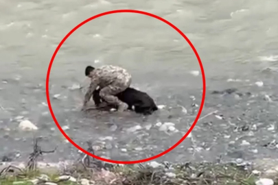 Polis memurunun Siirt'te çekilen görüntüsü Türkiye gündemine oturdu!