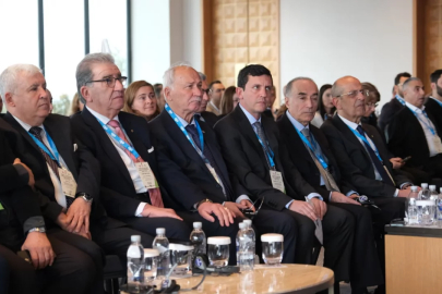 Türk zeytinyağı Avrupa'dan kota ve rekolte artışı bekliyor!