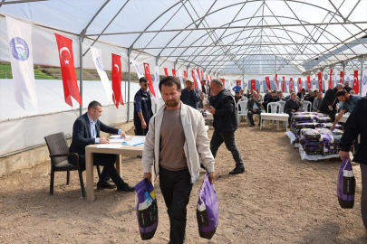 Vezirköprü'de çiftçilere yonca tohumu desteği
