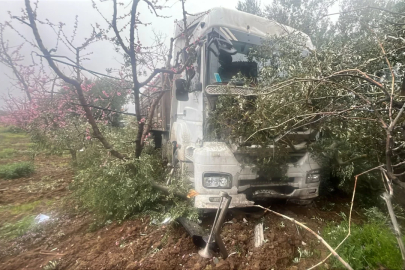 Bursa'da yağışlı hava kazayı getirdi! Kamyon zeytinliğe daldı