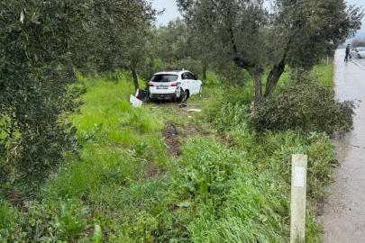 Bursa'da yağışlı havada kontrolden çıkan otomobil zeytin tarlasına uçtu!