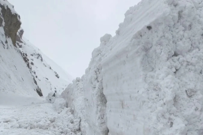 Van-Hakkari kara yoluna çığ düştü