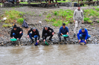 Altın avcıları 81 ilden İzmir'e akın etti: Dereden topluyorlar