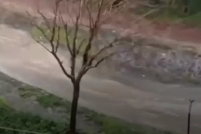 Bursa'da yağışlar yüz güldürdü! Kuruyan dereler coştu...