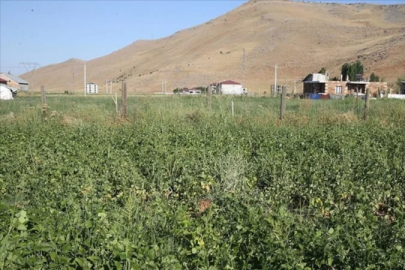 Tarlaya ev yapma şartları değişti: İşte 2026 kuralları