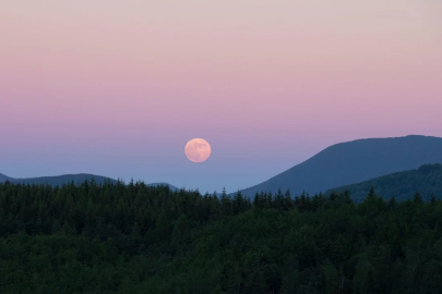 1 Nisan'da 'Pembe Dolunay' gökyüzünde olacak!