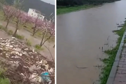 Bursa'da Çakırca deresi taştı! Tarlalar sular altında kaldı...