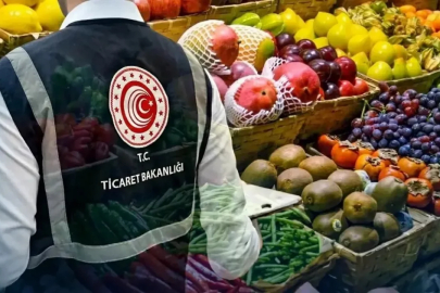 Bakanlık yasa dışı işlemleri suçüstü yakaladı