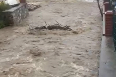 Bursa'da muhtarlar tehlikenin önüne geçti!