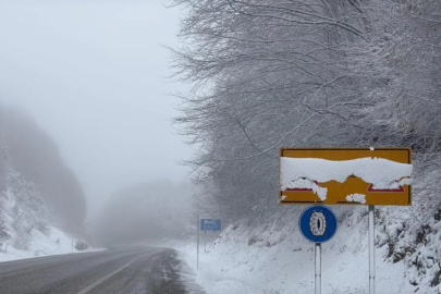 Bursa ve Kütahya'yı birbirine bağlayan yolda kar yağışı ve sis etkili oldu